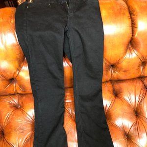 White House Black Market Pants NWT